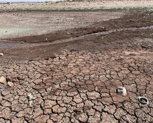 Türkiye loses 1 centimeter of soil every 16 years, expert warns