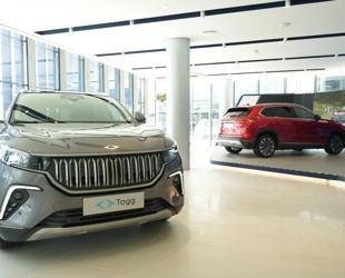 Gasoline and diesel car market share continues to shrink