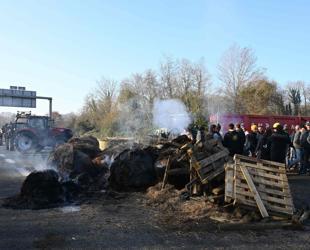 French farmers block roads over cow disease cull