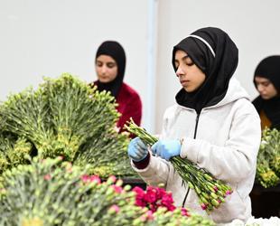 $12 million in flowers exported for New Year celebrations