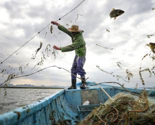 Türkiye expands fishing operations into Somali waters