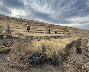 Afforestation drive launched in Iğdır to tackle Türkiye’s worst air pollution