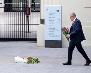 Australia announces gun buyback after Bondi attack