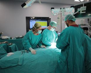 45,000 people register as organ donors via Türkiye’s e-Nabız platform in two months