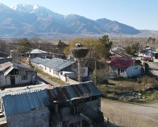 Storks of Binkoç village to spend another winter in their nests