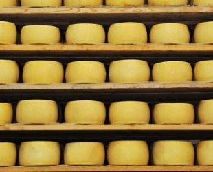 A cheese story stretching from Urfa to America