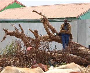 Somalia denounces Israeli recognition of Somaliland
