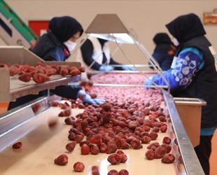 Frozen produce sector aims for $200 mln in exports in 2026