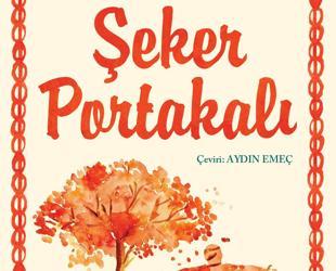 Türkiye’s top court recognizes translator rights in book title dispute