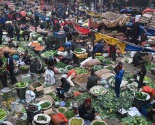 Global food prices up 4.3 pct in 2025, says FAO