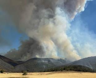 Scores of homes razed, one dead in Australian bushfires