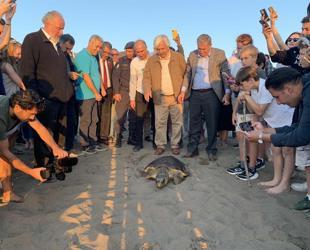 Sea turtle conservation efforts bear fruit at key nesting beach in Muğla