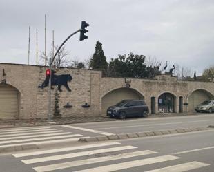 Türkiye’s prominent zoo closes after 33 years of operation