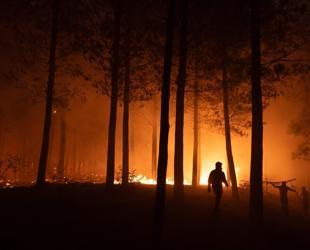 Entire towns wiped out in Chile wildfires