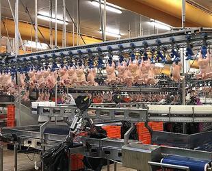 Trade Ministry halts chicken exports ahead of Ramadan