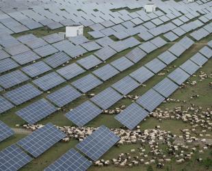 Solar, wind capacity growth slowed last year: Analysis