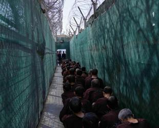 US completes transfer of ISIL detainees from Syria to Iraq: CENTCOM