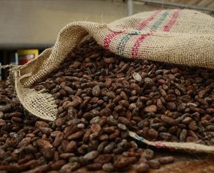 Türkiye cocoa exports hit all-time high of $1.7 billion in 2025