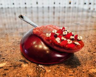 Denmark set to explore if gastronomy can be art form