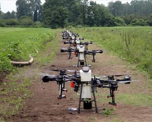 Digital transformation placed at the heart of agriculture