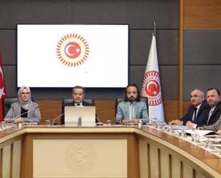 Panel urges new presidential body to combat child abuse in Türkiye