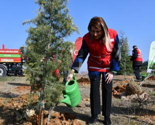 Türkiye targets 600 million saplings in nationwide afforestation drive