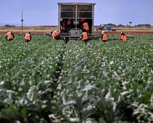 Iran war drives food price pressures in Türkiye and globally