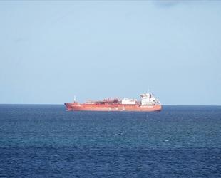 Another Turkish-owned ship has crossed Hormuz strait: minister