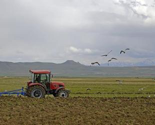 War puts Turkish farmers in a ‘low yield or high cost’ dilemma
