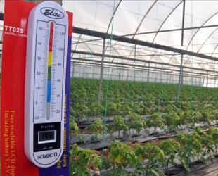 Agricultural frost risk raises concerns for food market