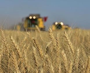 Türkiye to launch AI-powered farm project to attract young farmers