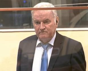 Butcher of Bosnia Mladic suffers stroke: Son