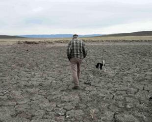 Record US drought sparks worries about food prices