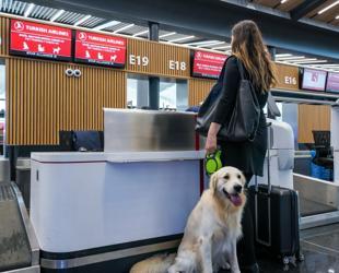 Türkiye targets booming pet-friendly tourism market to boost int’l growth
