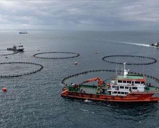 Türkiye targets $2.5 billion in seafood exports for 2026