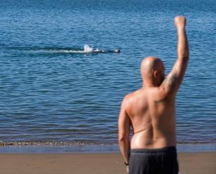 Warming El Nino set to return in mid-2026: UN