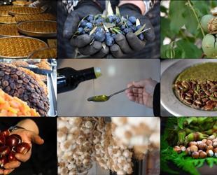 EU registration of Turkish geographical indications accelerates