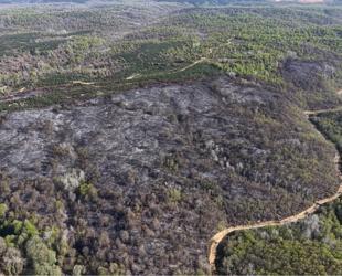 Türkiye steps up forest fire preparedness as risk season approaches