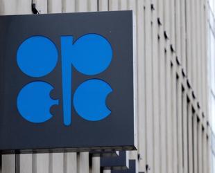 Whats next for OPEC after the UAEs withdrawal