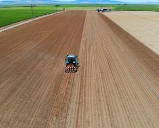Agricultural production will recover this year, says Minister