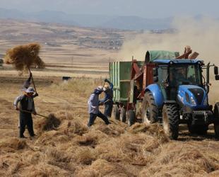 Agricultural input prices in Türkiye rise 34.3 percent annually in March