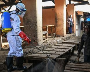 Ebola toll tops 200, other African countries seen at risk