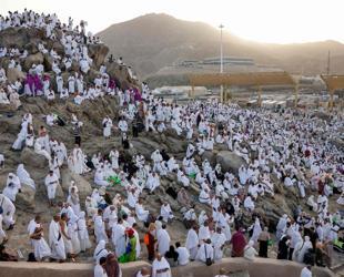 Pilgrims pray on Mount Arafat as hajj reaches peak