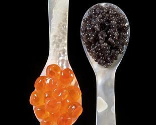 Türkiye targets global market with ‘Turkish caviar’