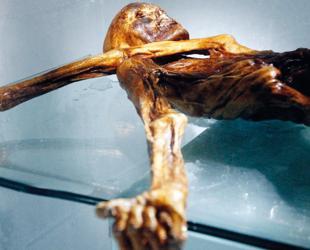 Scientists find yeast in ancient icemans guts and make bread