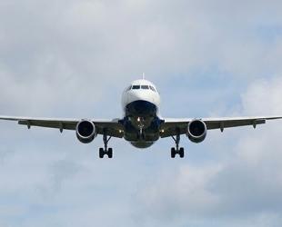 Sustainable jet fuel too costly and scarce, airline group warns