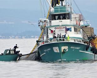 Türkiye launches action plan against illegal fishing