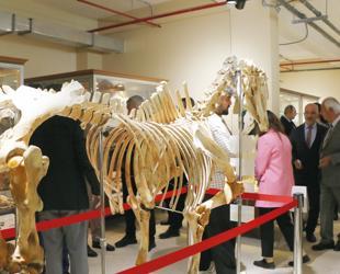 Zoology Museum reopens to visitors