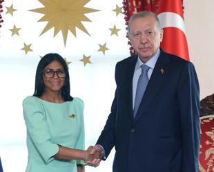 Erdoğan receives Venezuelan acting president in Istanbul