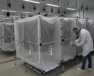Brazil suspends dengue vaccine following two deaths
